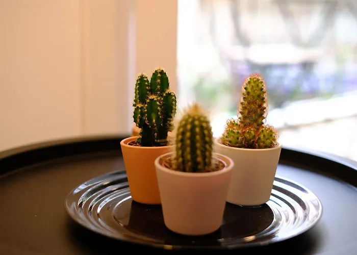 Premium Centro Almería